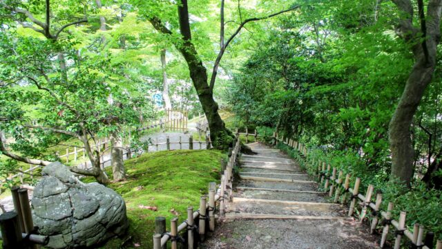 「語りの道を選びとる──shisan-tabiが歩む思考と表現の分かれ道」