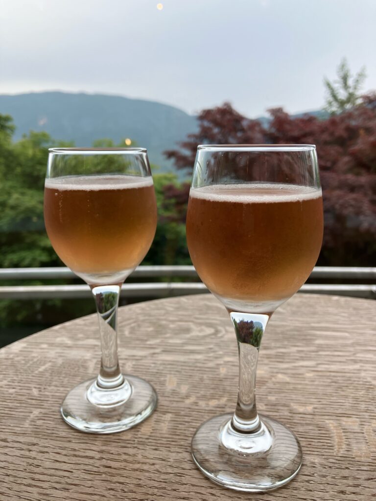 白檀ラウンジで楽しむスパークリングワイン2杯。奥に山と木々。