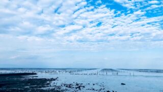 広がる海と空、水平線上に並ぶ漁の支柱
